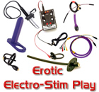 Electro-Sex Power Box and Electrode E-Stim Toys